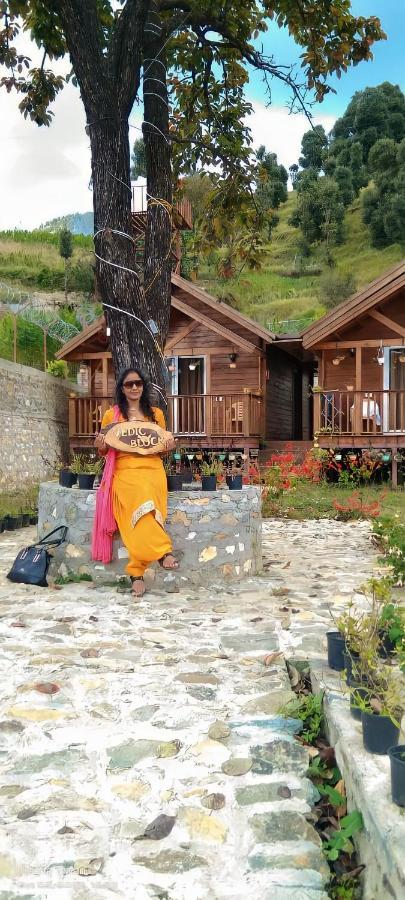 Vanprastha Resorts Dwarahat Bagian luar foto