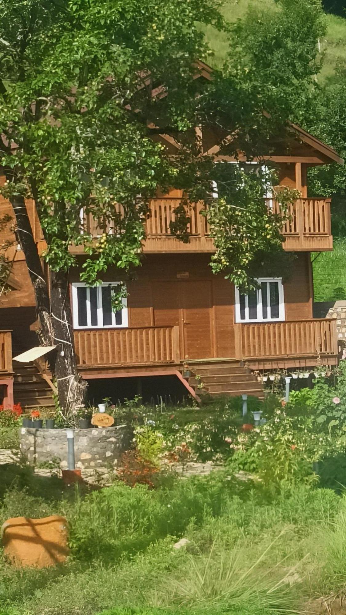 Vanprastha Resorts Dwarahat Bagian luar foto