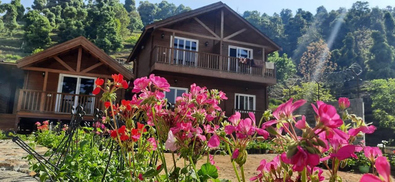 Vanprastha Resorts Dwarahat Bagian luar foto
